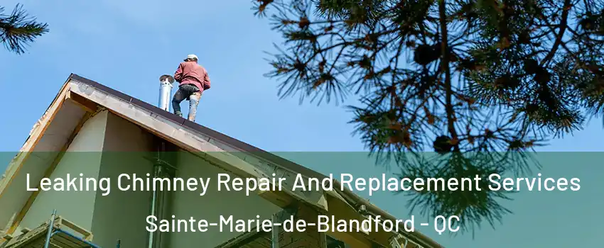  Leaking Chimney Repair And Replacement Services Sainte-Marie-de-Blandford - QC