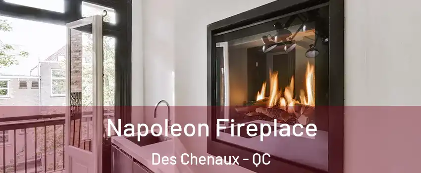  Napoleon Fireplace Des Chenaux - QC