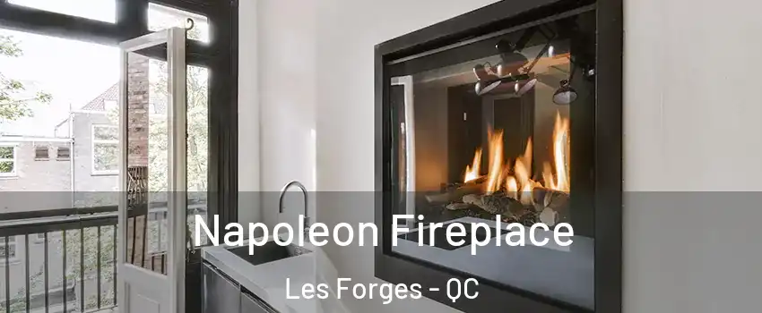 Napoleon Fireplace Les Forges - QC