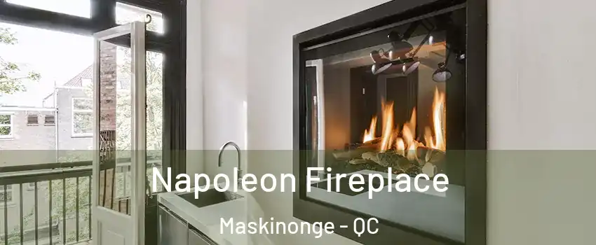  Napoleon Fireplace Maskinonge - QC