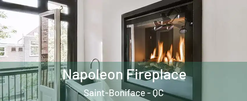 Napoleon Fireplace Saint-Boniface - QC