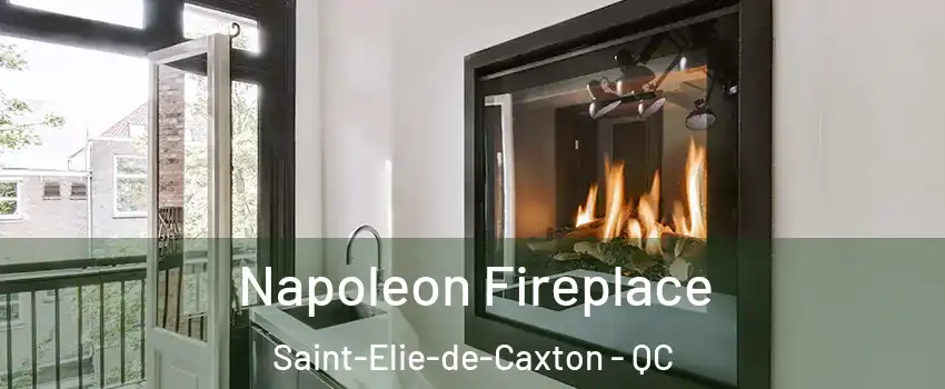  Napoleon Fireplace Saint-Elie-de-Caxton - QC