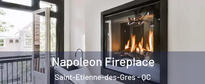 Napoleon Fireplace Saint-Etienne-des-Gres - QC