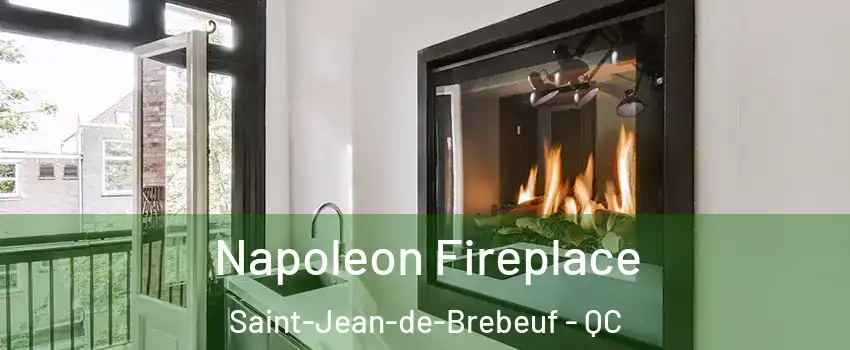  Napoleon Fireplace Saint-Jean-de-Brebeuf - QC
