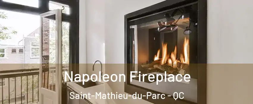  Napoleon Fireplace Saint-Mathieu-du-Parc - QC