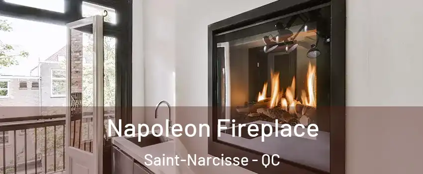  Napoleon Fireplace Saint-Narcisse - QC