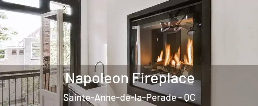  Napoleon Fireplace Sainte-Anne-de-la-Perade - QC