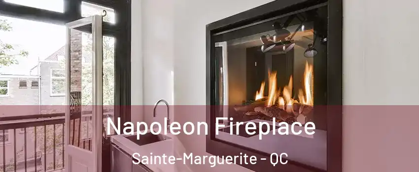  Napoleon Fireplace Sainte-Marguerite - QC