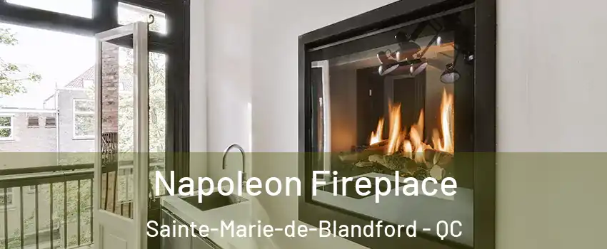  Napoleon Fireplace Sainte-Marie-de-Blandford - QC