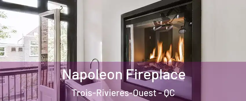  Napoleon Fireplace Trois-Rivieres-Ouest - QC