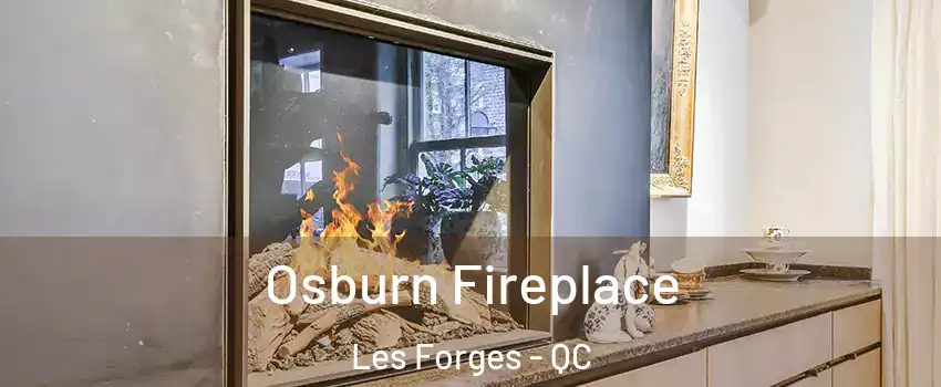  Osburn Fireplace Les Forges - QC