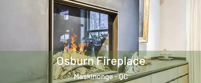  Osburn Fireplace Maskinonge - QC