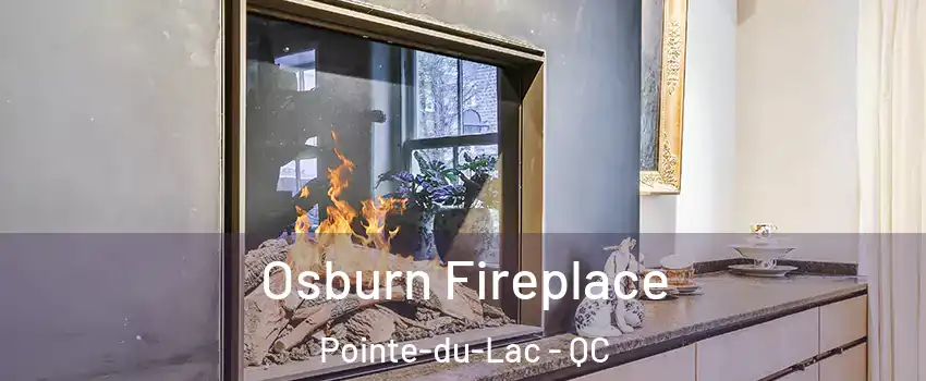  Osburn Fireplace Pointe-du-Lac - QC