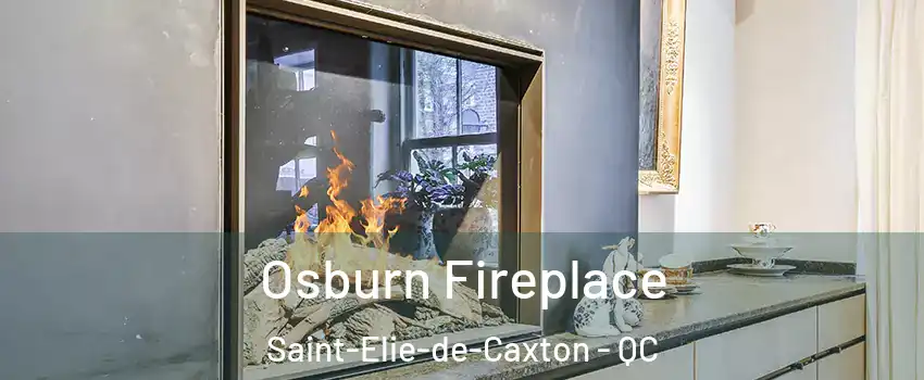 Osburn Fireplace Saint-Elie-de-Caxton - QC