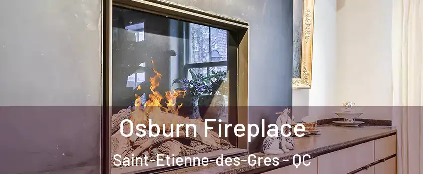  Osburn Fireplace Saint-Etienne-des-Gres - QC