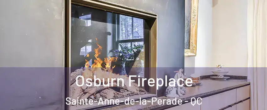 Osburn Fireplace Sainte-Anne-de-la-Perade - QC