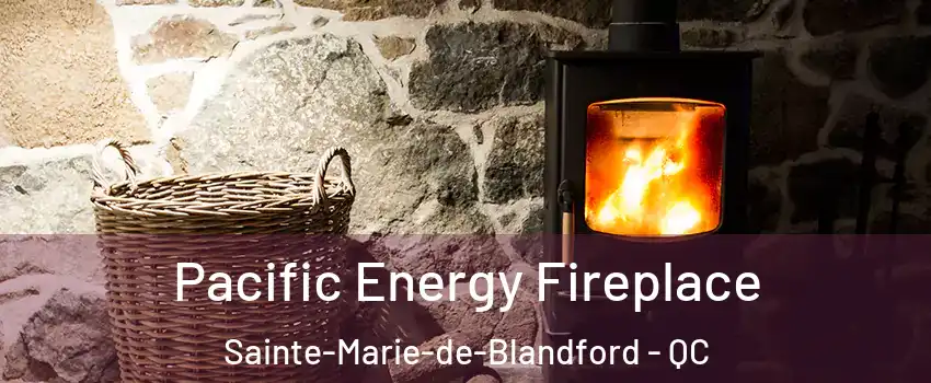  Pacific Energy Fireplace Sainte-Marie-de-Blandford - QC