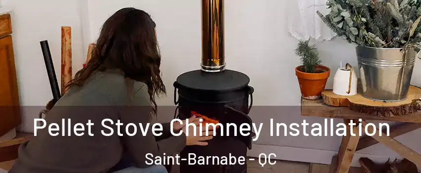  Pellet Stove Chimney Installation Saint-Barnabe - QC