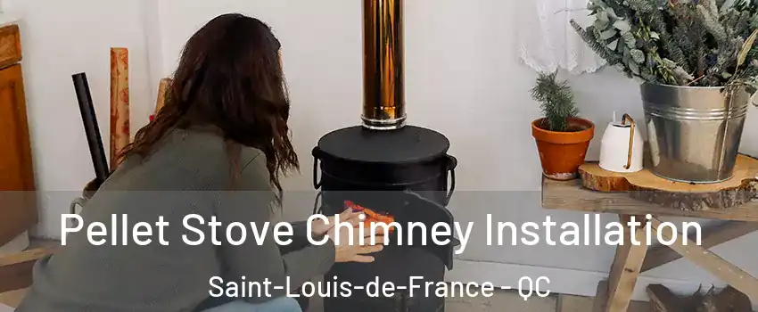  Pellet Stove Chimney Installation Saint-Louis-de-France - QC