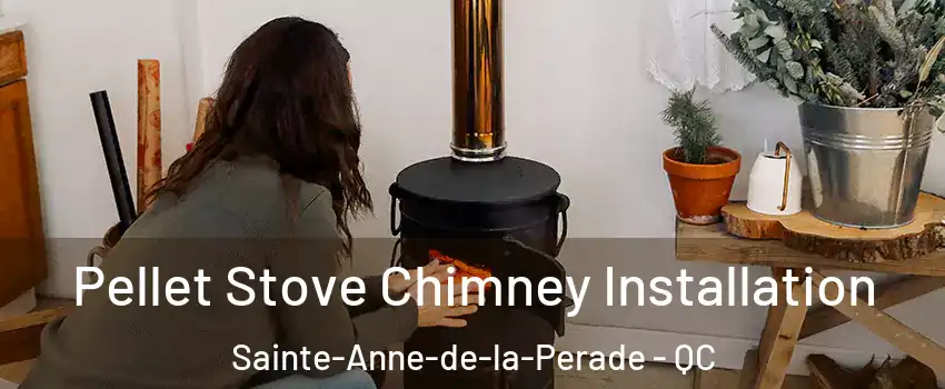  Pellet Stove Chimney Installation Sainte-Anne-de-la-Perade - QC