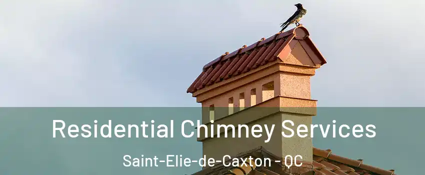  Residential Chimney Services Saint-Elie-de-Caxton - QC