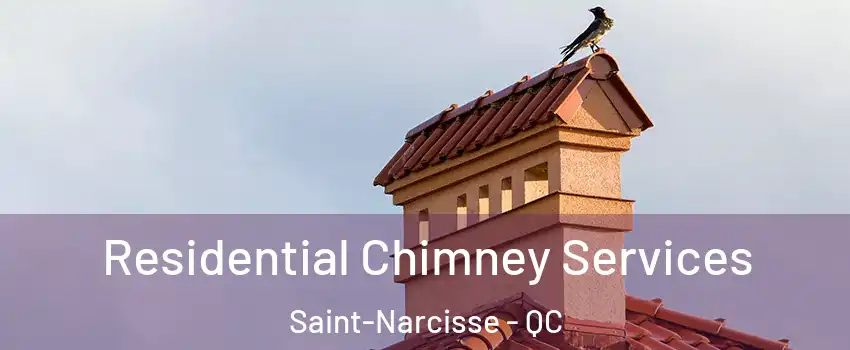  Residential Chimney Services Saint-Narcisse - QC