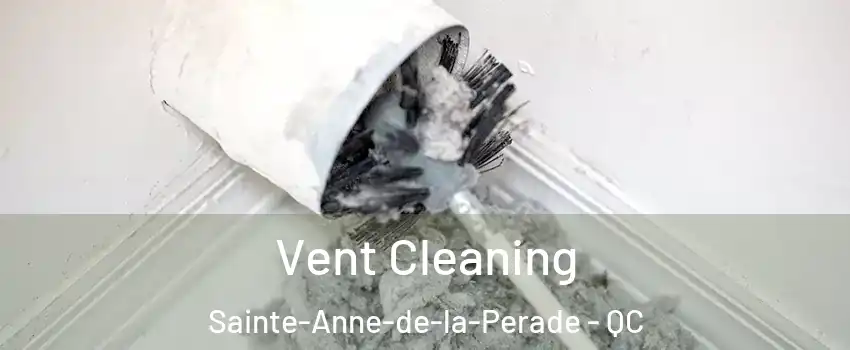  Vent Cleaning Sainte-Anne-de-la-Perade - QC