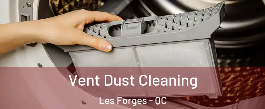  Vent Dust Cleaning Les Forges - QC