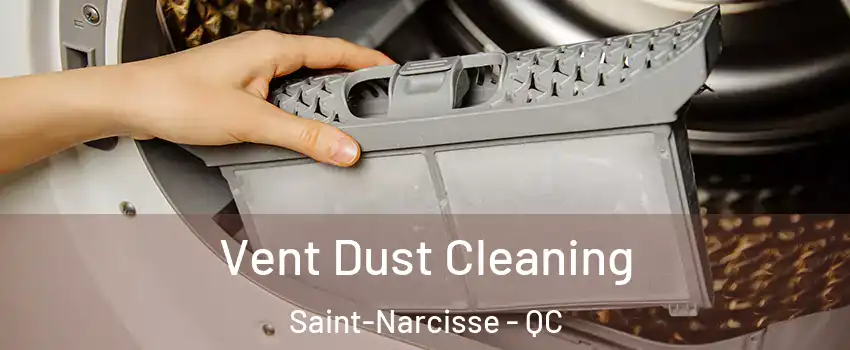  Vent Dust Cleaning Saint-Narcisse - QC