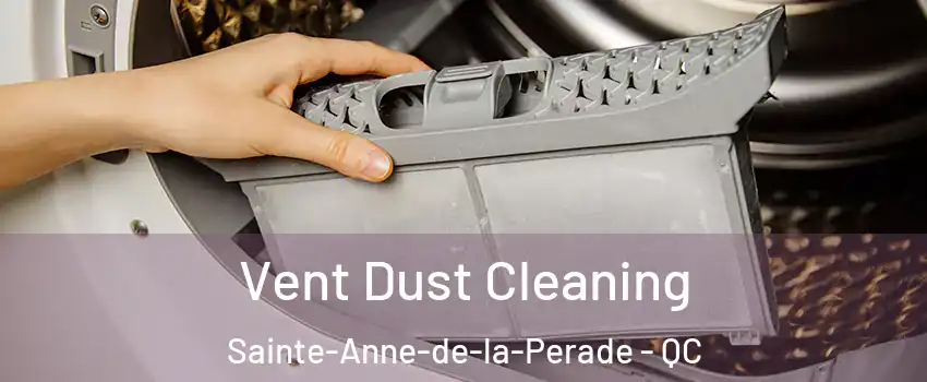  Vent Dust Cleaning Sainte-Anne-de-la-Perade - QC