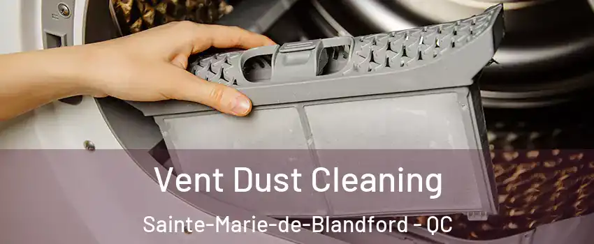  Vent Dust Cleaning Sainte-Marie-de-Blandford - QC