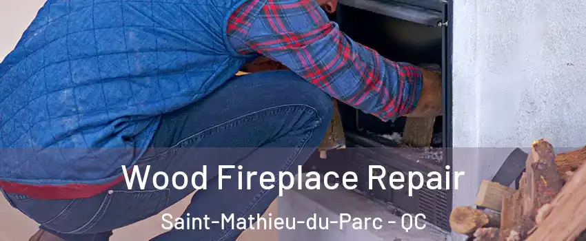  Wood Fireplace Repair Saint-Mathieu-du-Parc - QC