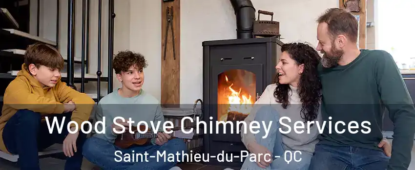  Wood Stove Chimney Services Saint-Mathieu-du-Parc - QC
