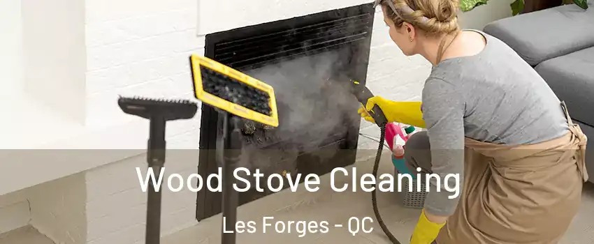  Wood Stove Cleaning Les Forges - QC