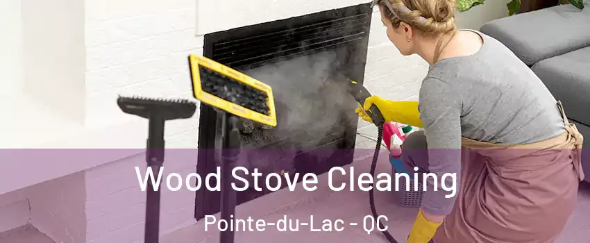  Wood Stove Cleaning Pointe-du-Lac - QC