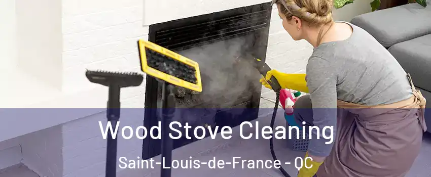  Wood Stove Cleaning Saint-Louis-de-France - QC