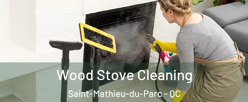  Wood Stove Cleaning Saint-Mathieu-du-Parc - QC