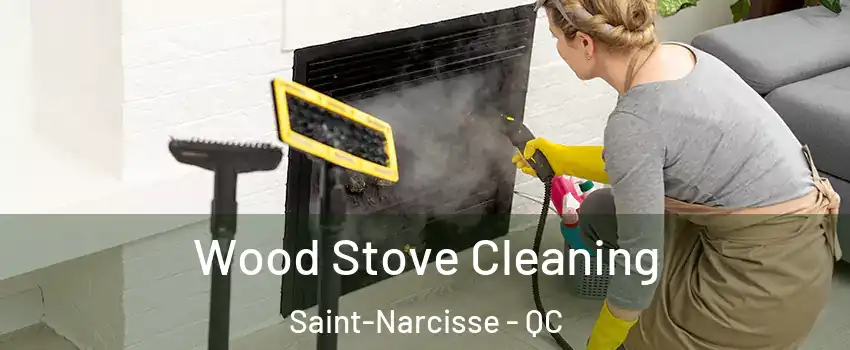  Wood Stove Cleaning Saint-Narcisse - QC