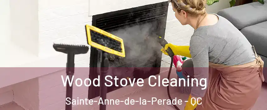 Wood Stove Cleaning Sainte-Anne-de-la-Perade - QC