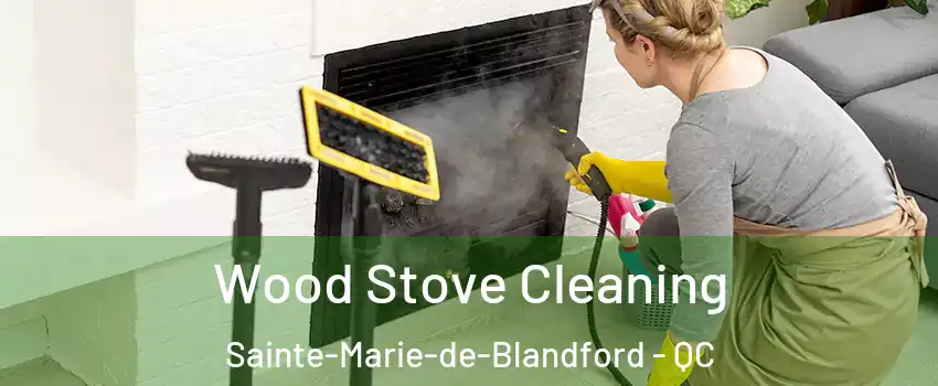  Wood Stove Cleaning Sainte-Marie-de-Blandford - QC
