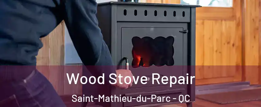  Wood Stove Repair Saint-Mathieu-du-Parc - QC
