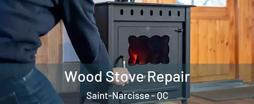  Wood Stove Repair Saint-Narcisse - QC