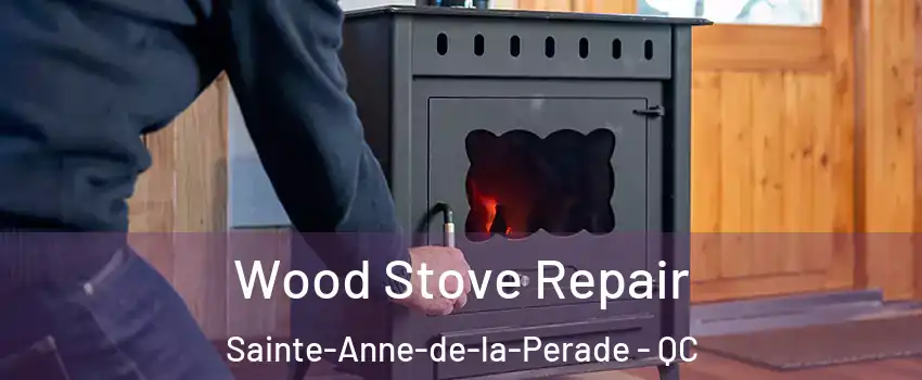  Wood Stove Repair Sainte-Anne-de-la-Perade - QC