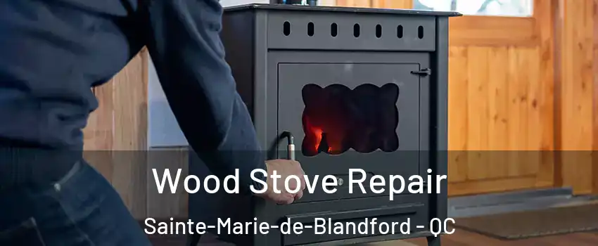  Wood Stove Repair Sainte-Marie-de-Blandford - QC